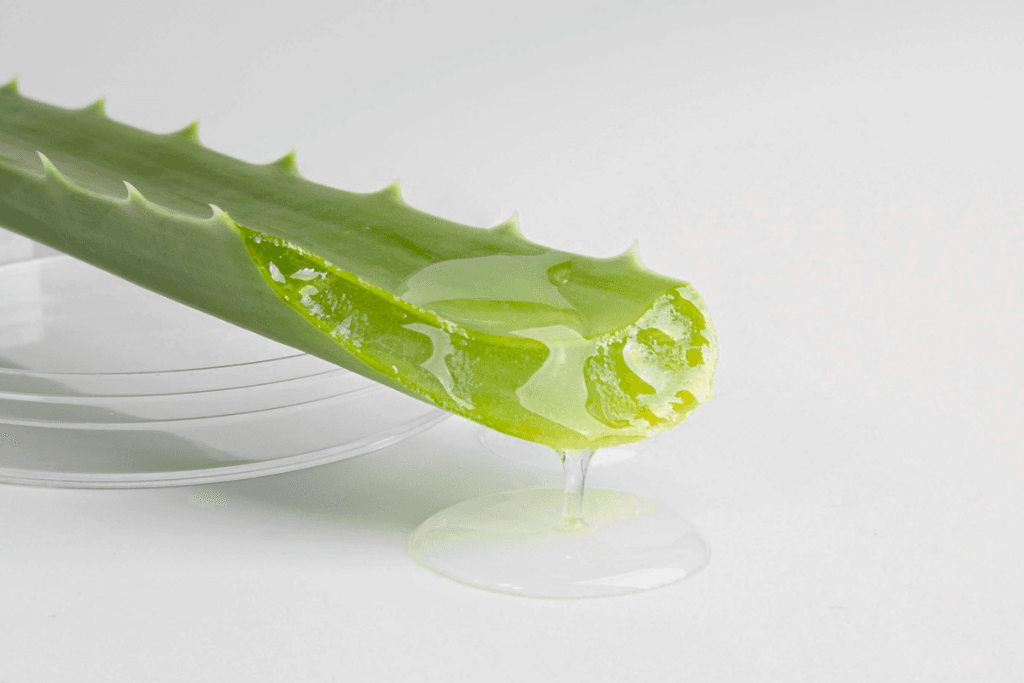 Aloe Vera