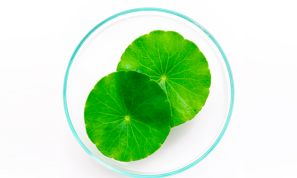 Centella asiática: o segredo da K-Beauty para uma pele radiante