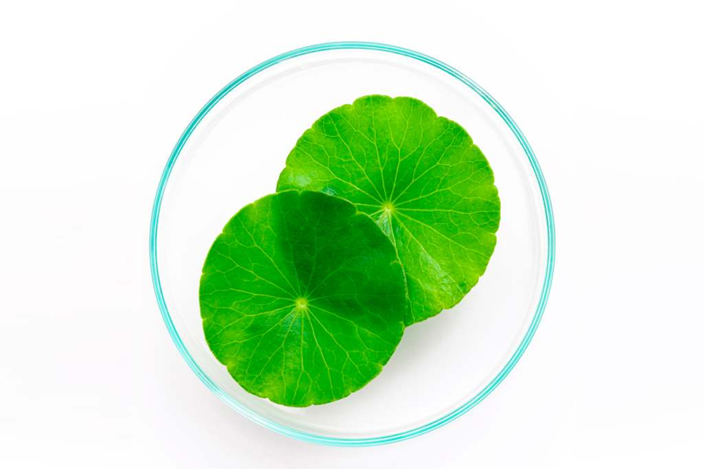 Centella asiática: o segredo da K-Beauty para uma pele radiante