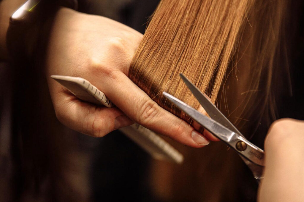 Corte Bordador